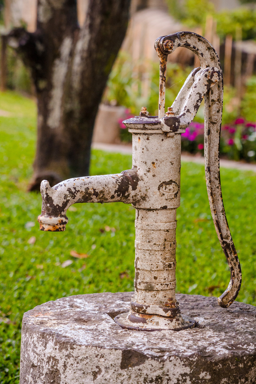 SIP - CIP - Detalhe